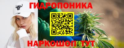 прущие грибы Гусь-Хрустальный