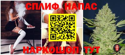 индика Гусиноозёрск