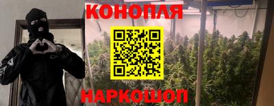 прущие грибы Гусь-Хрустальный