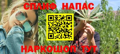 индика Гусиноозёрск
