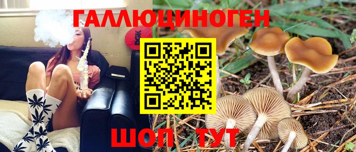 Псилоцибиновые грибы Psilocybine cubensis  цены наркотик  Вход с VPN  Михайловск  Галлюциногенные грибы ЛСД 